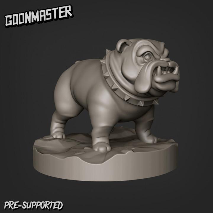 Bulldog Bundle