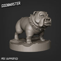 Thumbnail for Bulldog Bundle
