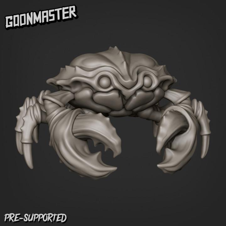 Sea Creature Bundle