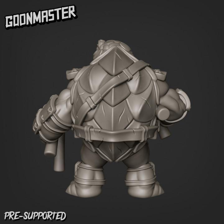 Turtle Clan Bundle 1
