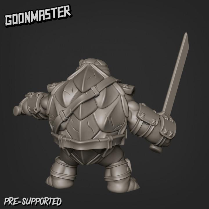 Turtle Clan Bundle 2