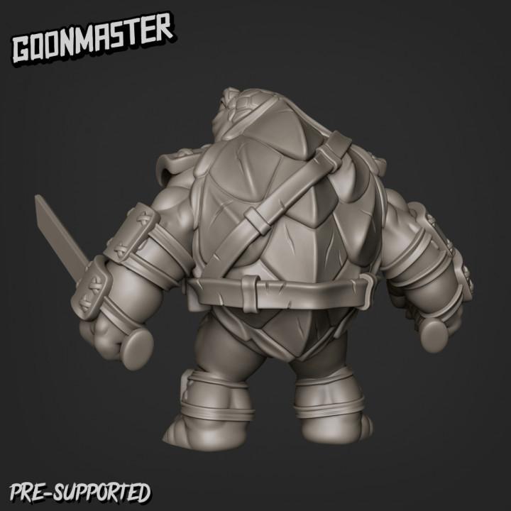 Turtle Clan Bundle 1