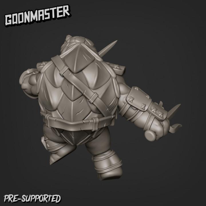 Turtle Clan Bundle 1