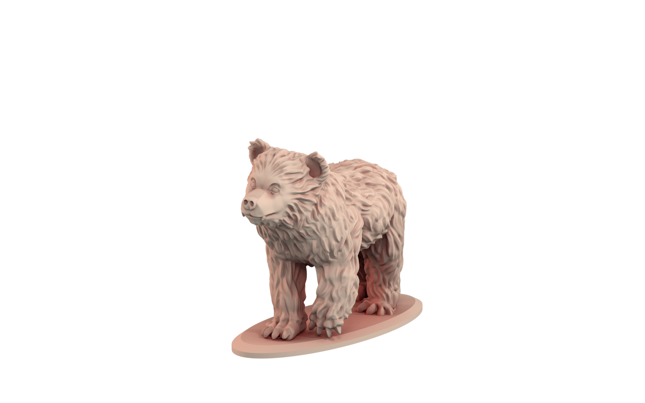 Bear Bundle