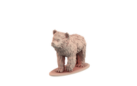 Thumbnail for Bear Bundle