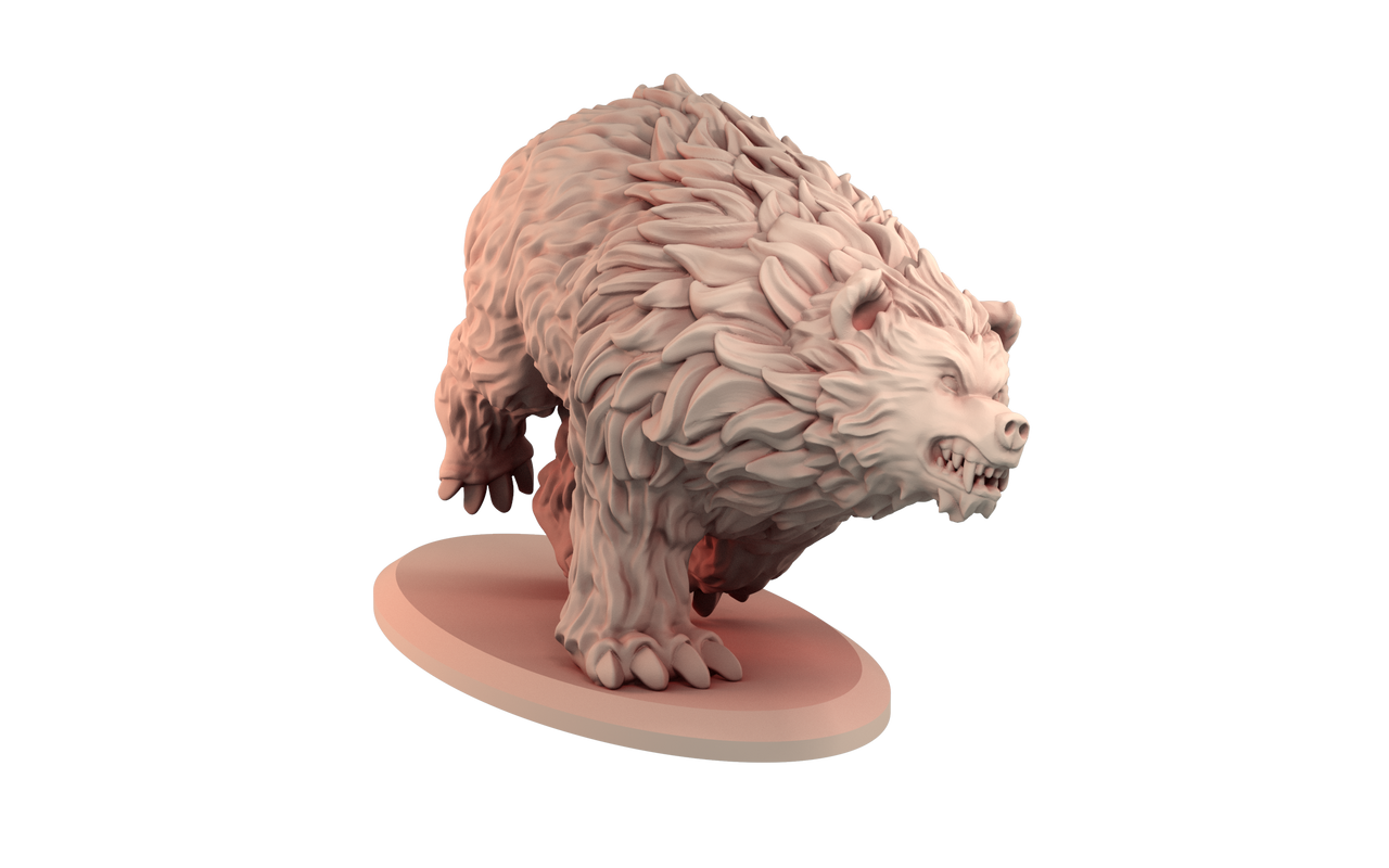 Bear Bundle