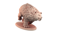 Thumbnail for Bear Bundle