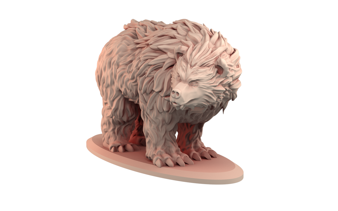Bear Bundle