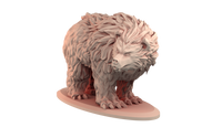 Thumbnail for Bear Bundle