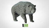 Thumbnail for Bears
