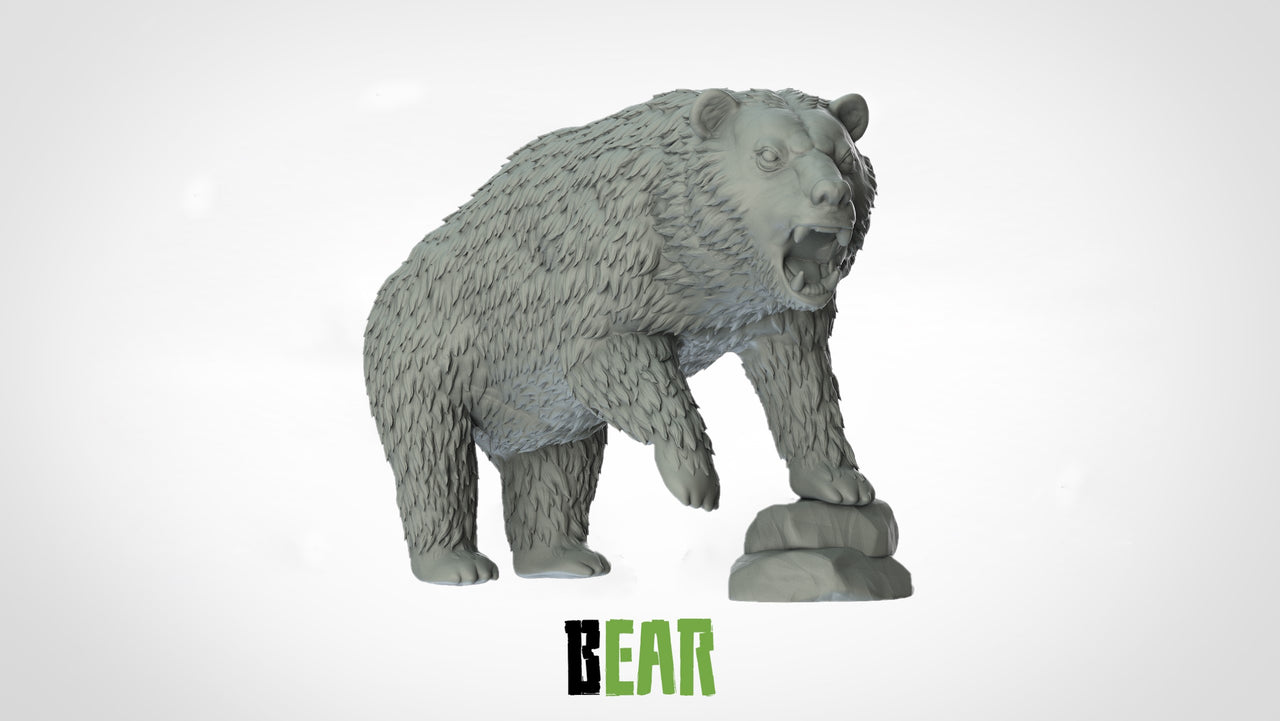 Bears