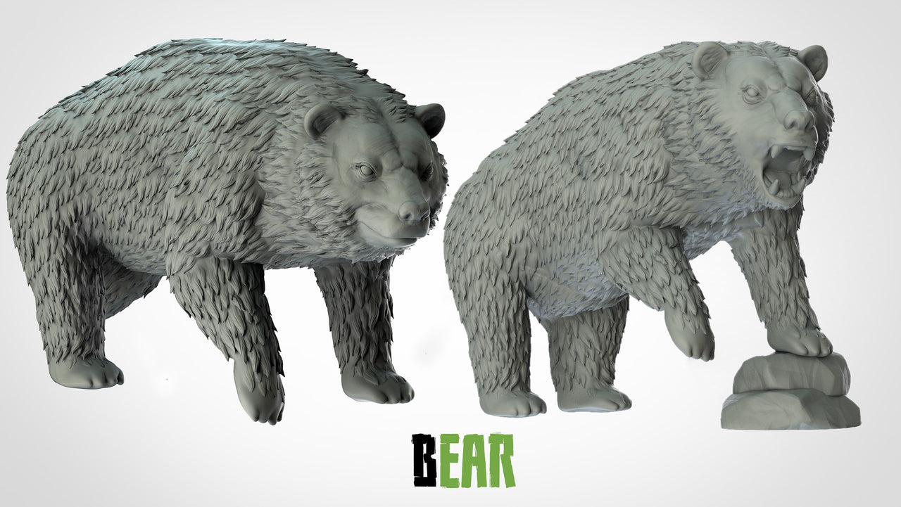 Bears