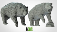 Thumbnail for Bears