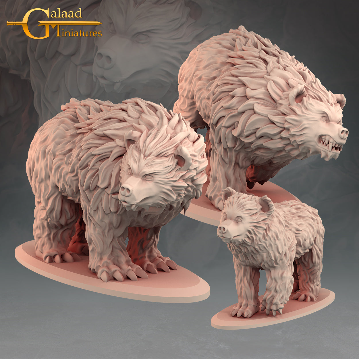 Bear Bundle