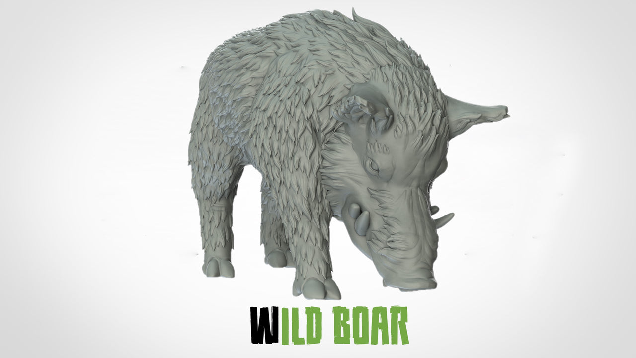 Wild Boars