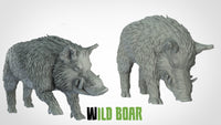Thumbnail for Wild Boars