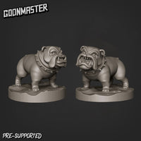 Thumbnail for Bulldog Bundle