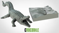 Thumbnail for Crocodiles