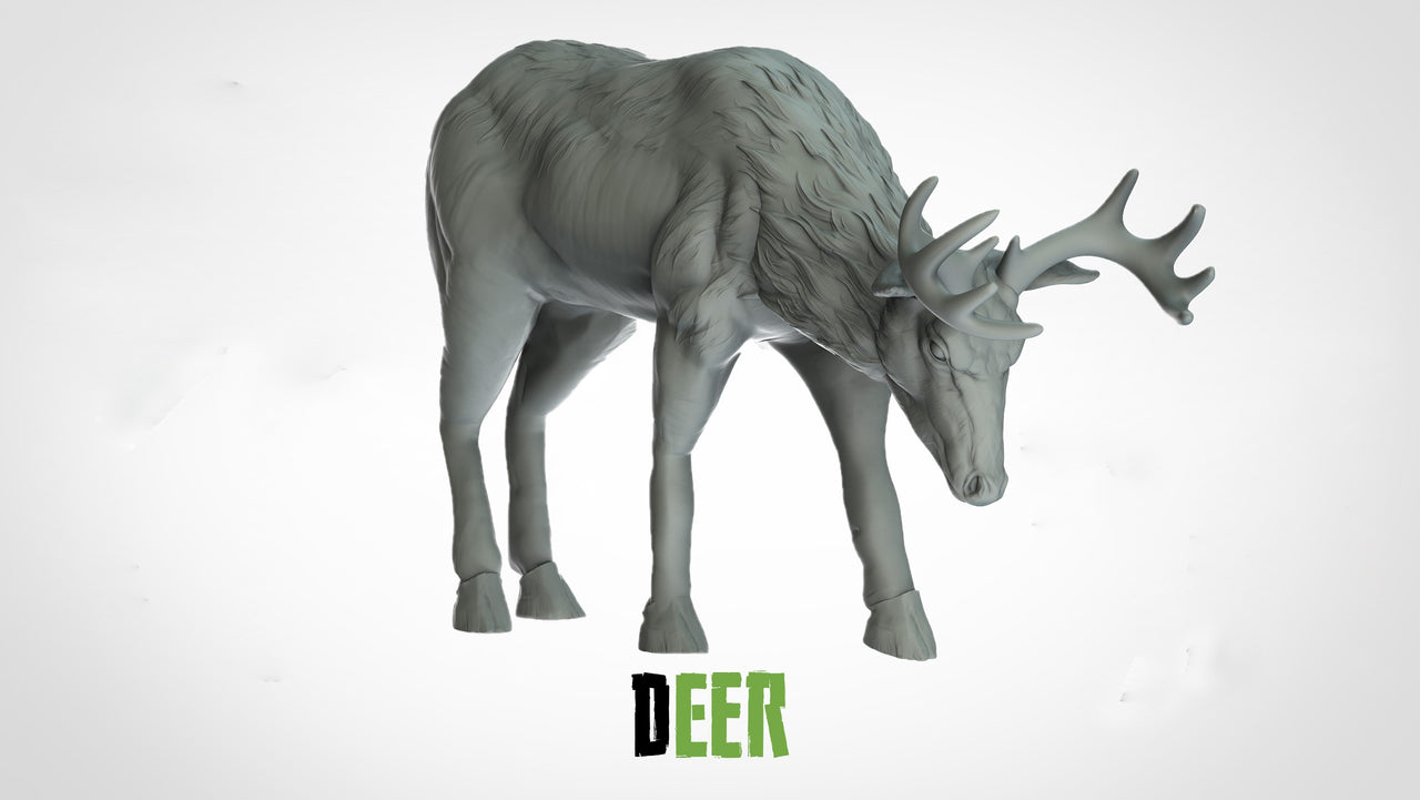 Deer