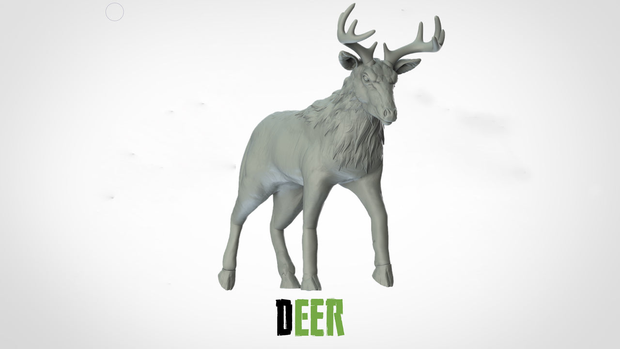 Deer