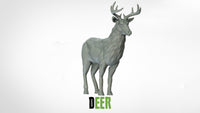 Thumbnail for Deer