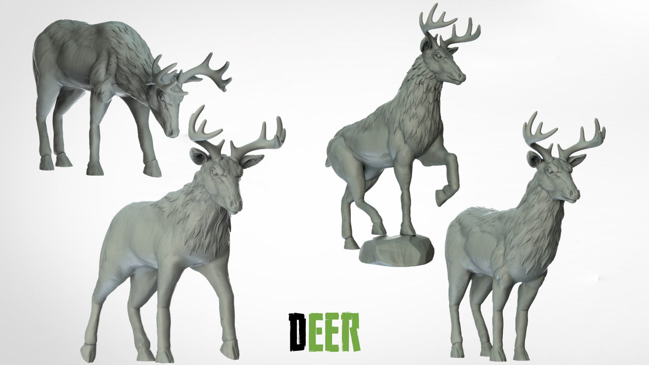 Deer
