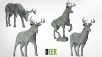 Thumbnail for Deer