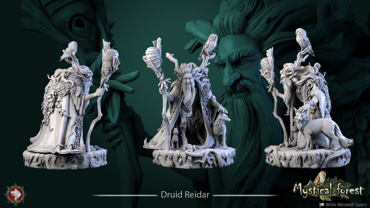Druid Reidar