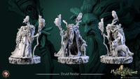 Thumbnail for Druid Reidar