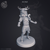 Thumbnail for Druid