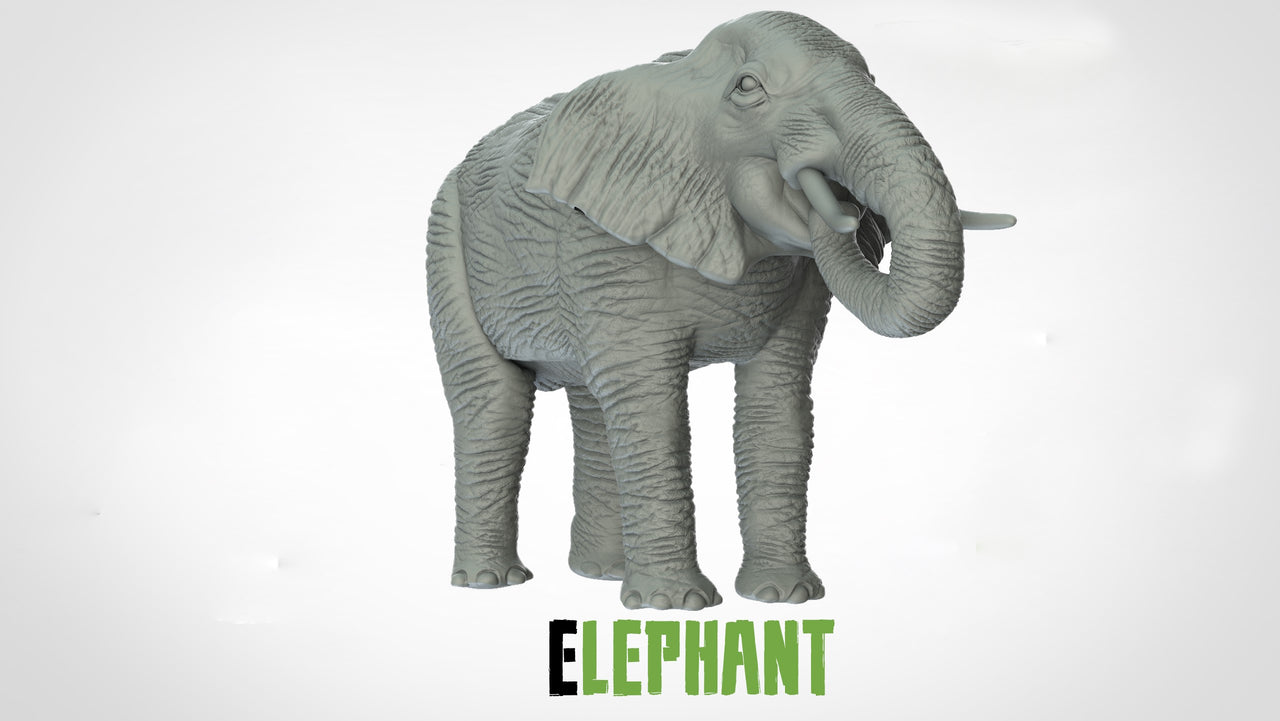 Elephants
