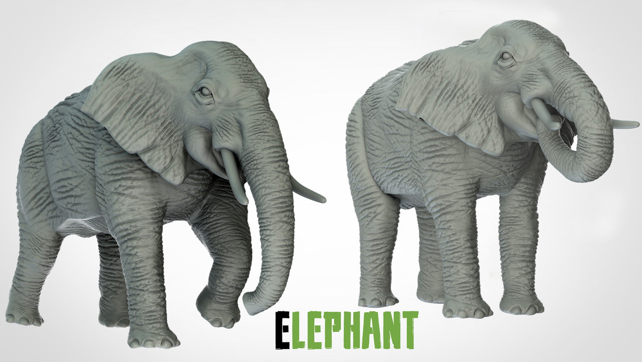 Elephants