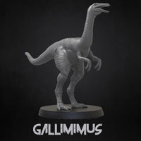 Thumbnail for Gallimimus