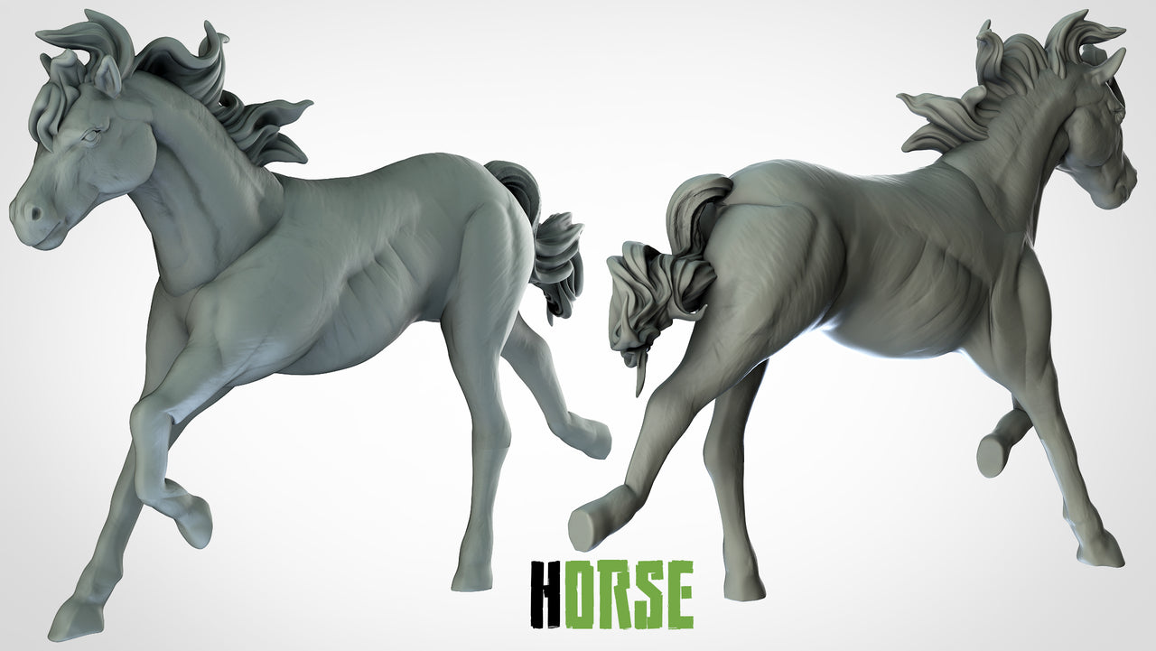 Horses