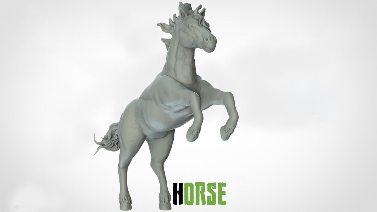 Horses