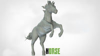 Thumbnail for Horses