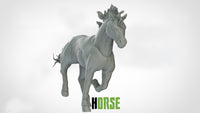 Thumbnail for Horses