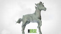 Thumbnail for Horses