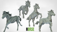 Thumbnail for Horses