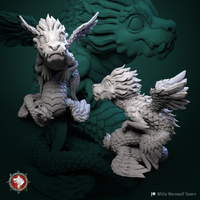 Thumbnail for Pygmy Celestial Dragon