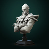 Thumbnail for Zondar Valis - Archmage - Bust