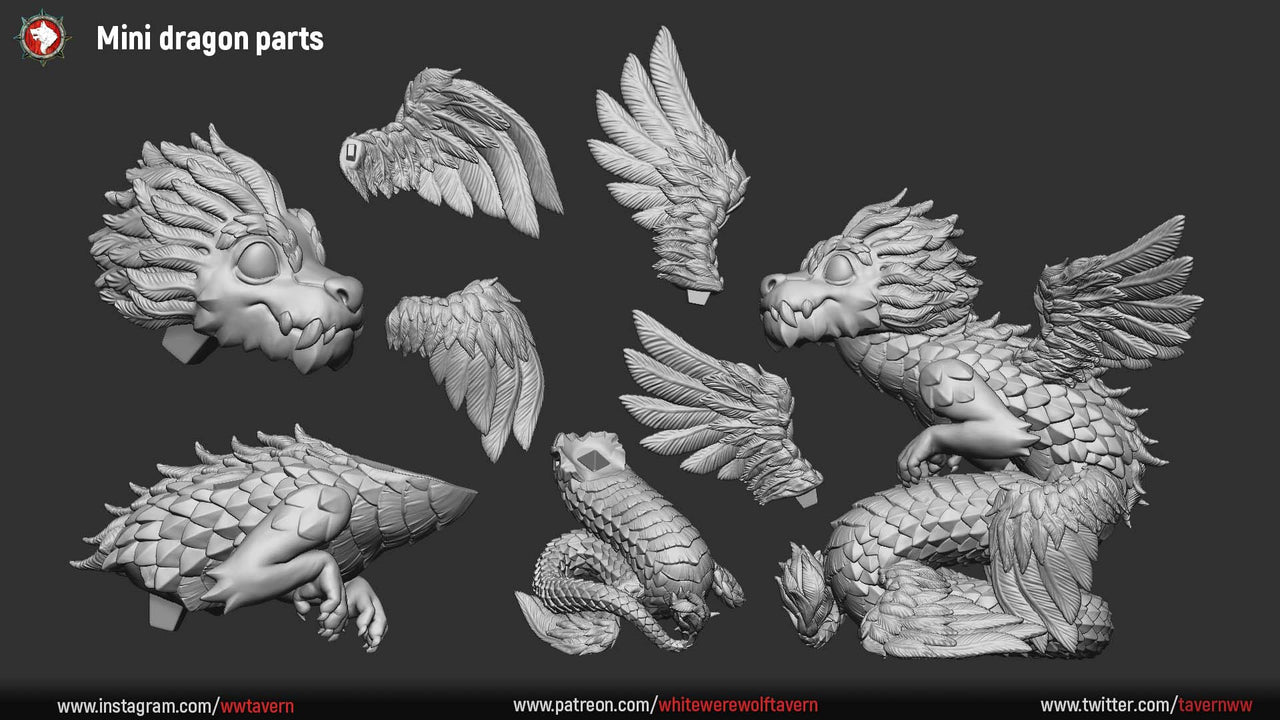 Pygmy Celestial Dragon
