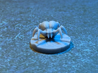 Thumbnail for Brain Spiders