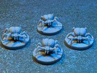 Thumbnail for Brain Spiders