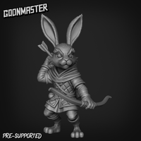 Thumbnail for Bunny Brigand Bundle 1