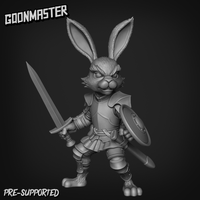 Thumbnail for Bunny Brigand Bundle 2