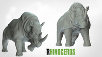 Thumbnail for Rhinoceri