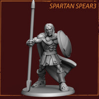 Thumbnail for Spartan Spearman Bundle