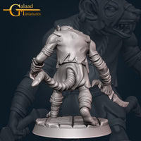 Thumbnail for Skaven Bundle