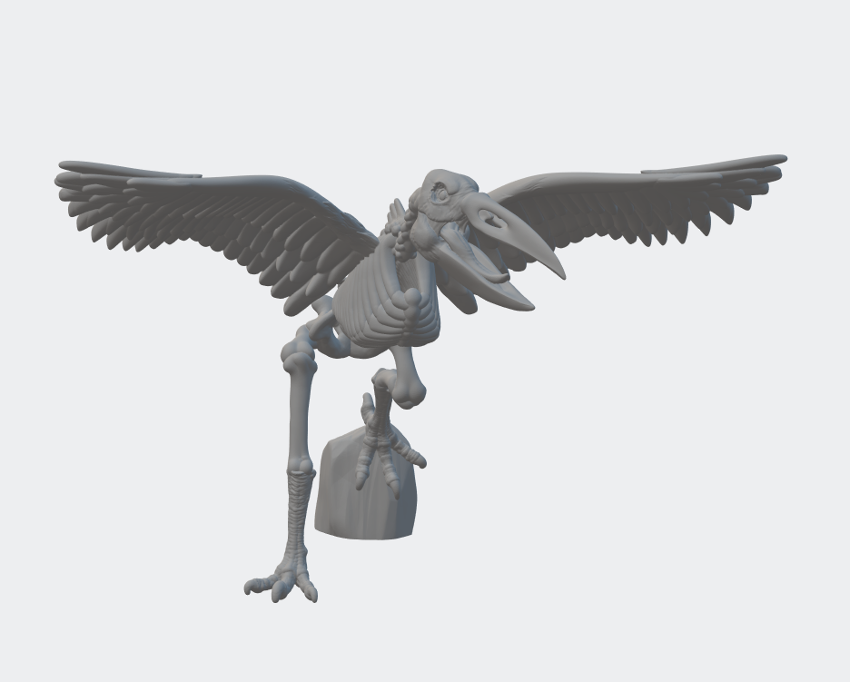 Skeletal Giant Bird